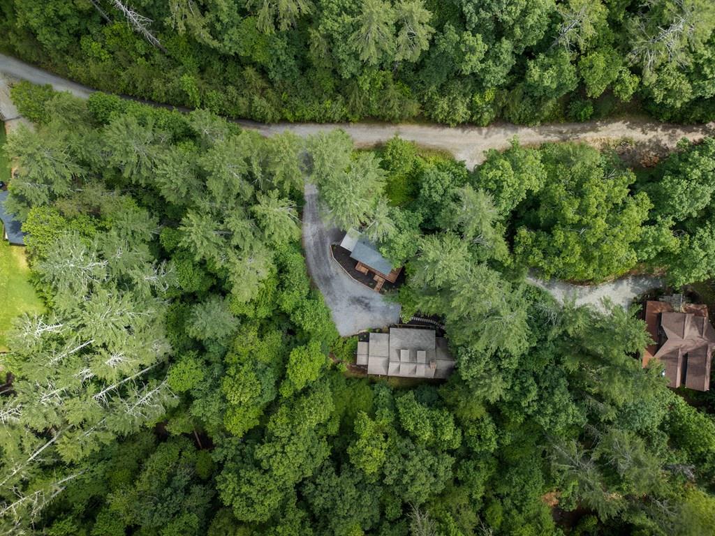 80 Tall Pines Road Morganton, GA 30560 - Photo 49 of 49 a view of a wooden house with a yard