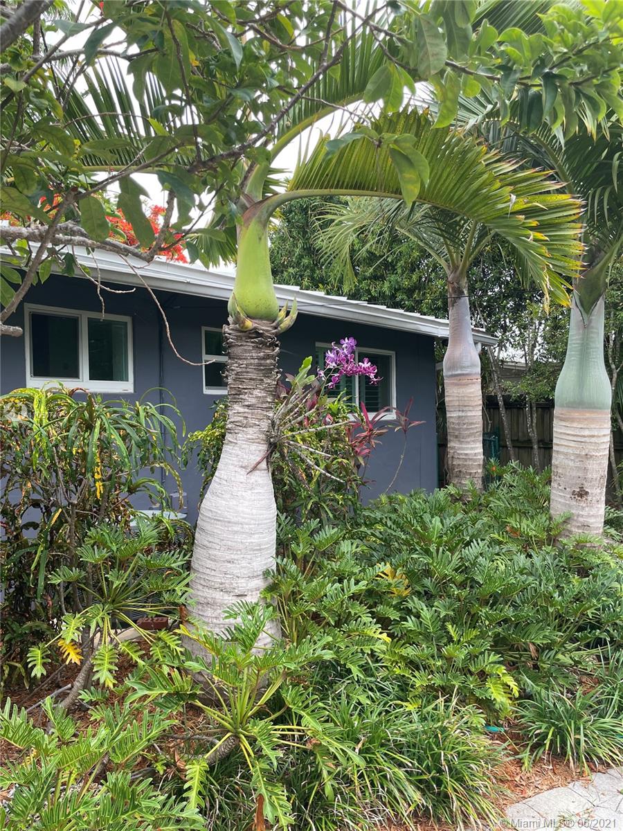 8570 Southwest 125th Street Miami, FL 33156 - Photo 18 of 18