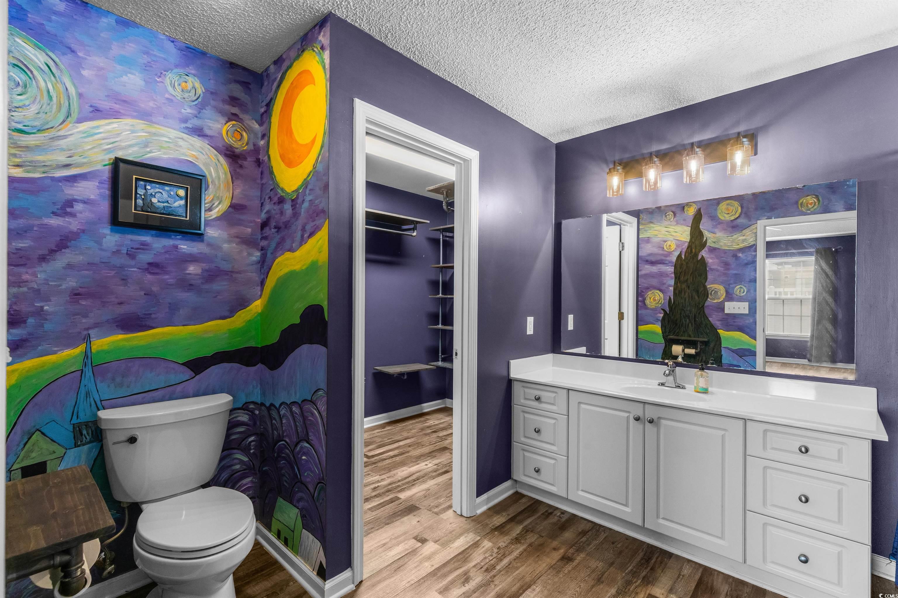 5029 Capulet Circle Myrtle Beach, SC 29588 - Photo 19 of 22 Bathroom with vanity, a textured ceiling, a spacious closet, and dark wood finished floors