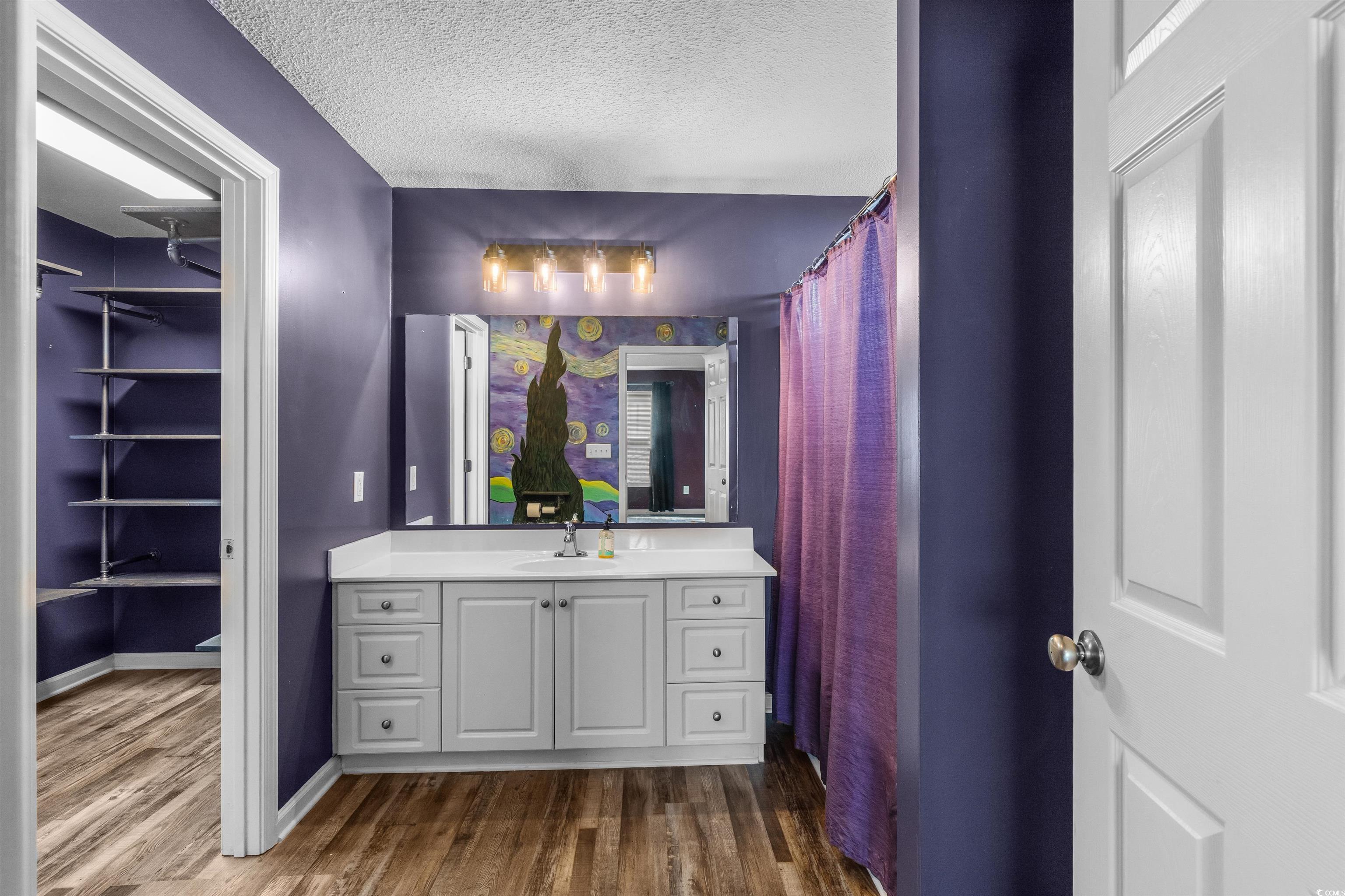 5029 Capulet Circle Myrtle Beach, SC 29588 - Photo 20 of 22 Bathroom featuring a shower with curtain, vanity, dark wood-type flooring, a textured ceiling, and a walk in closet