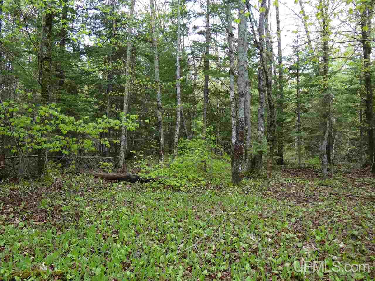 Tbd Freda Road Houghton, MI 49931 - Photo 13 of 15