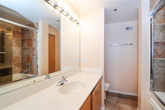 1250 West Van Buren Street, Unit 714 Chicago, IL 60607 - Photo 6 of 14