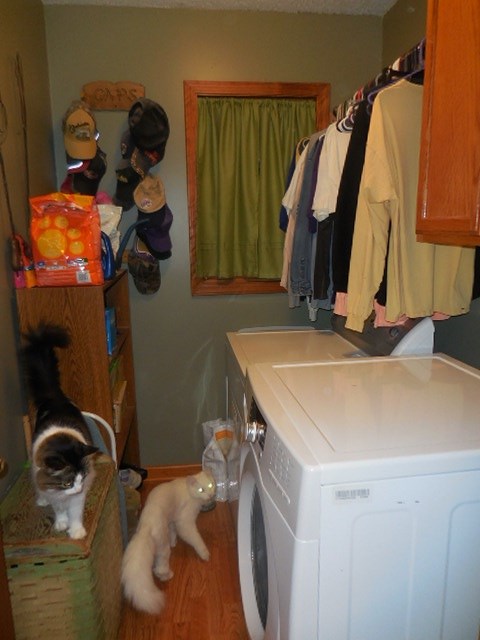 1234 West Ridge Road Rochester, IN 46975 - Photo 18 of 36