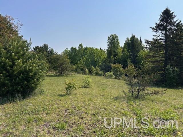 13408 West Jackola ( Road Atlantic Mine, MI 49905 - Photo 11 of 21