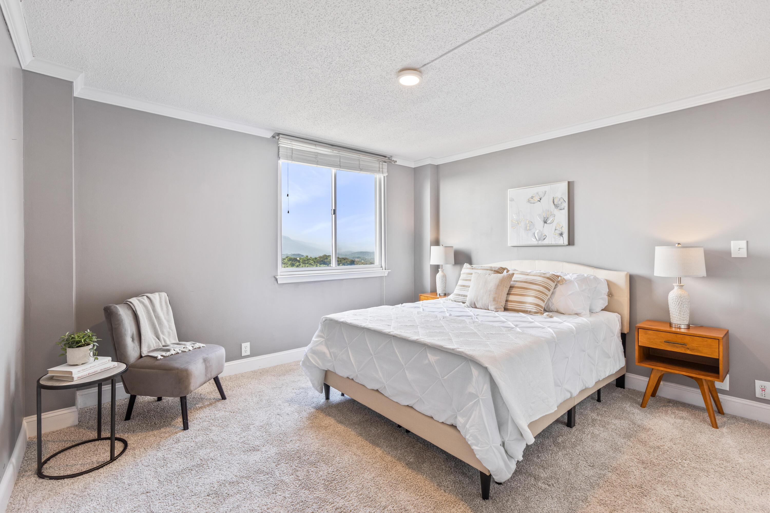 1131 Stringers Ridge Road, Unit 11G Chattanooga, TN 37405 - Photo 16 of 40 SPACIOUS PRIMARY SUITE