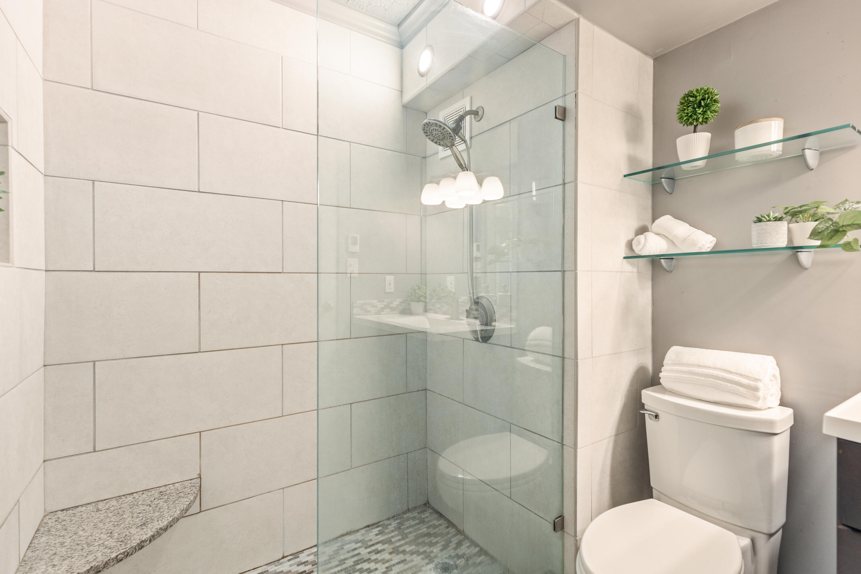 1131 Stringers Ridge Road, Unit 11G Chattanooga, TN 37405 - Photo 26 of 40 GORGEOUS SHOWER