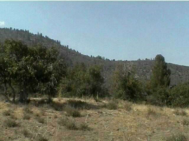 40 Acres Off Scarface R Weed, CA 96034 - Photo 4 of 5 Gallery Image 4