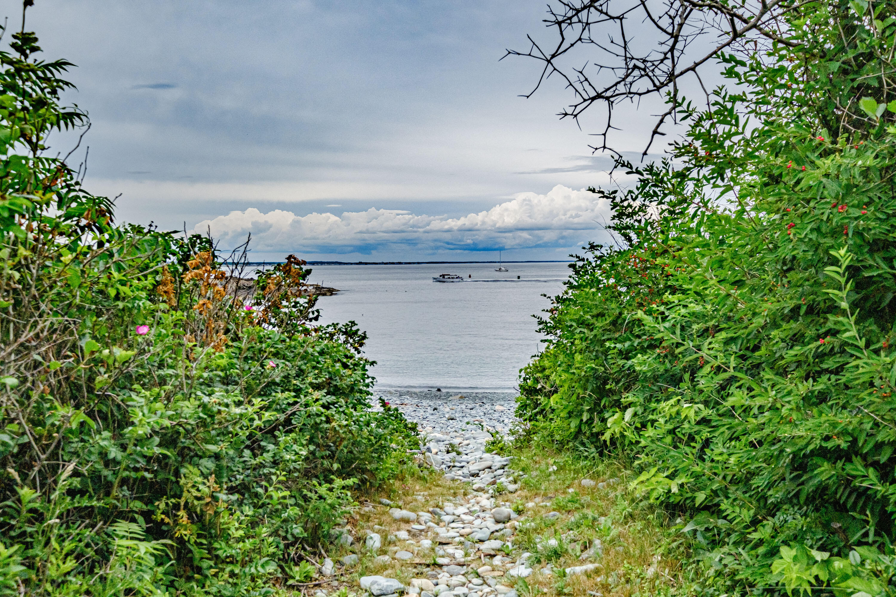 741 Shore Road Cape Neddick, ME 03902 - Photo 116 of 129 20210701mvht-63111