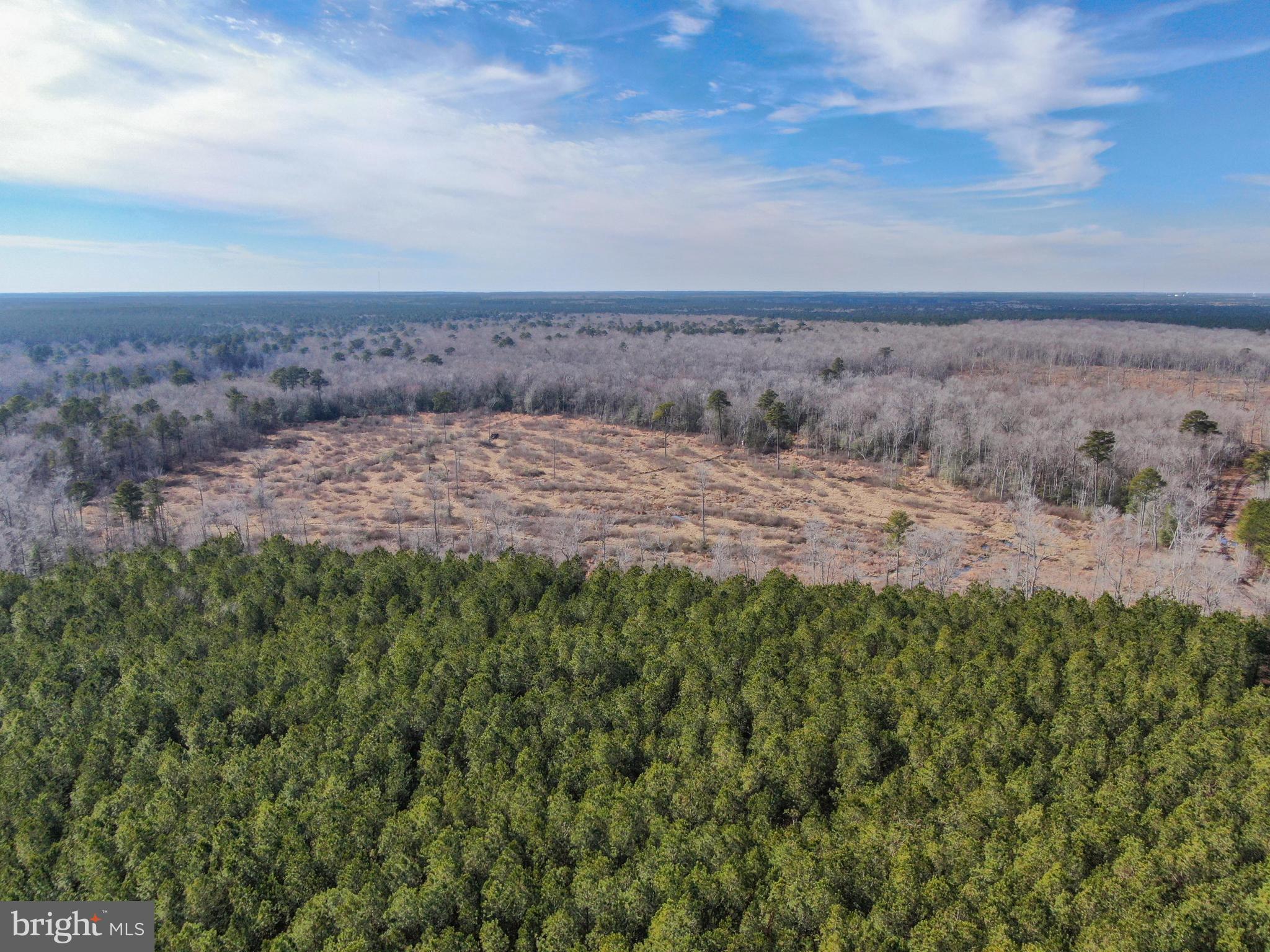 0 Follow Ditch Road Westover, MD 21871 - Photo 11 of 17 a view of a dry yard with wooden floor and fence