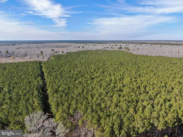 a view of a field with an ocean
