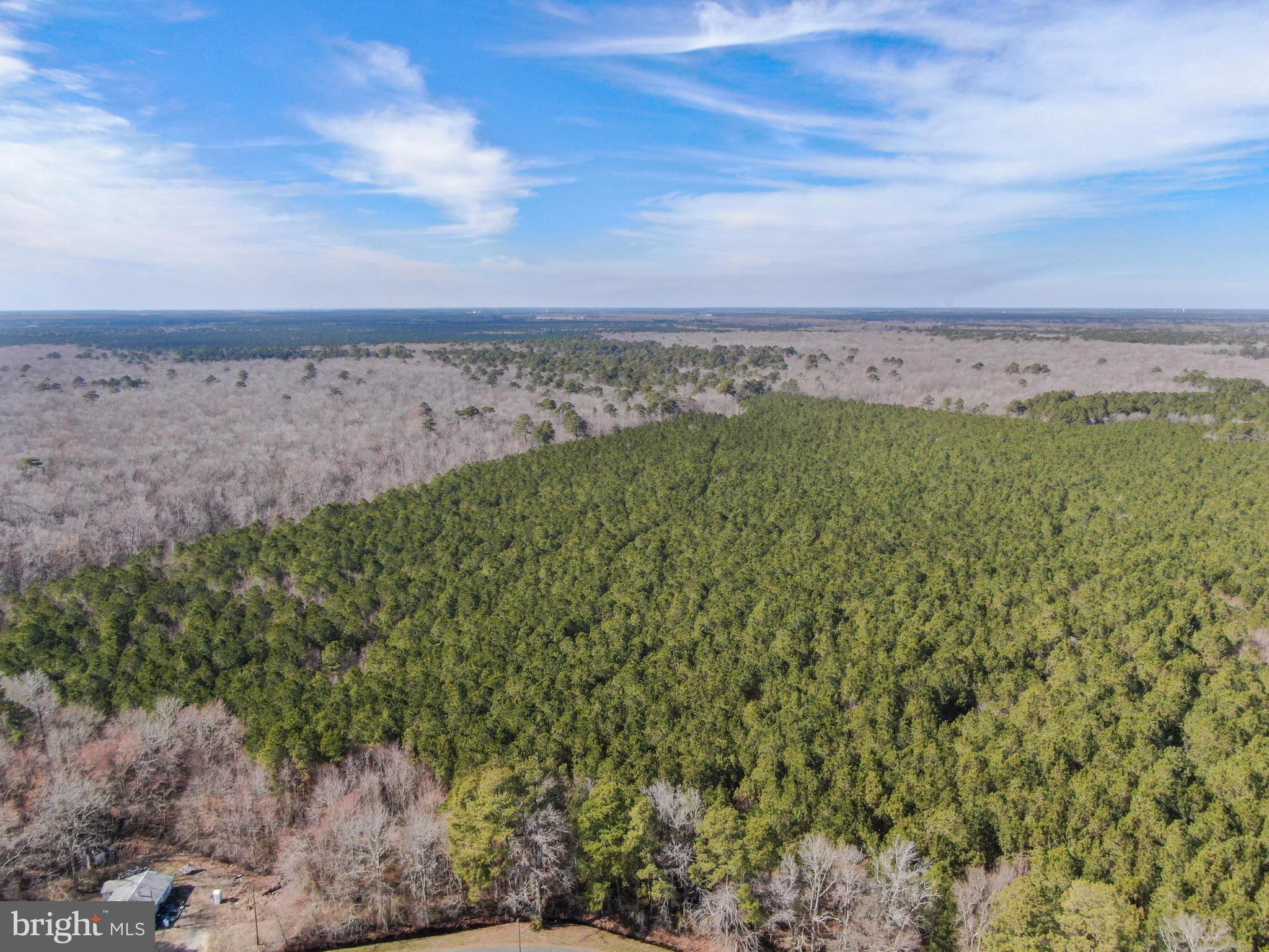 0 Follow Ditch Road Westover, MD 21871 - Photo 13 of 17 a view of a field with an ocean