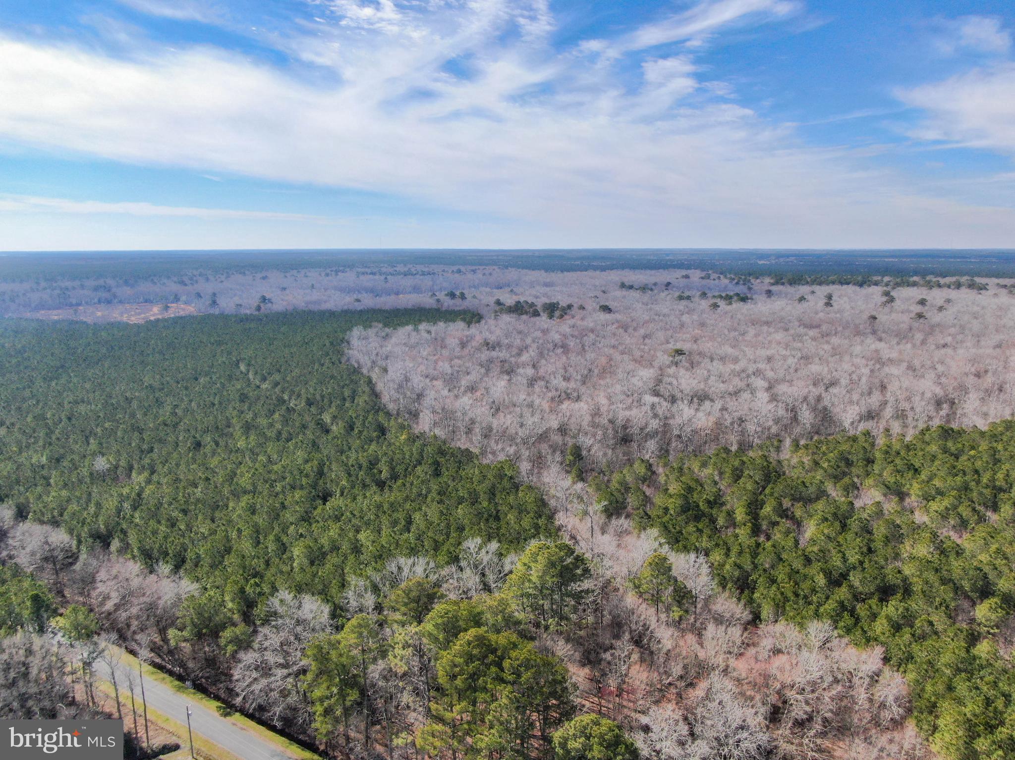 0 Follow Ditch Road Westover, MD 21871 - Photo 14 of 17 a view of a dry yard with trees in the background