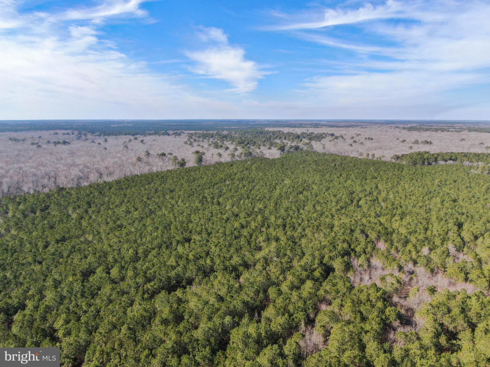 0 Follow Ditch Road Westover, MD 21871 - Photo 15 of 17 a view of a field with an ocean