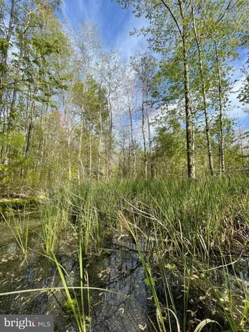 $2,488,500 | 0 Follow Ditch Road, Westover, MD 21871