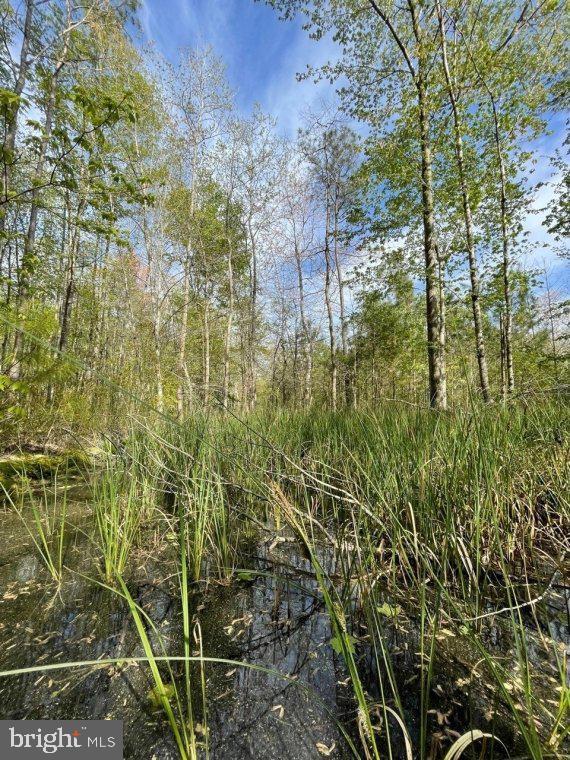 0 Follow Ditch Road Westover, MD 21871 - Photo 17 of 17 a view of residential houses with yard