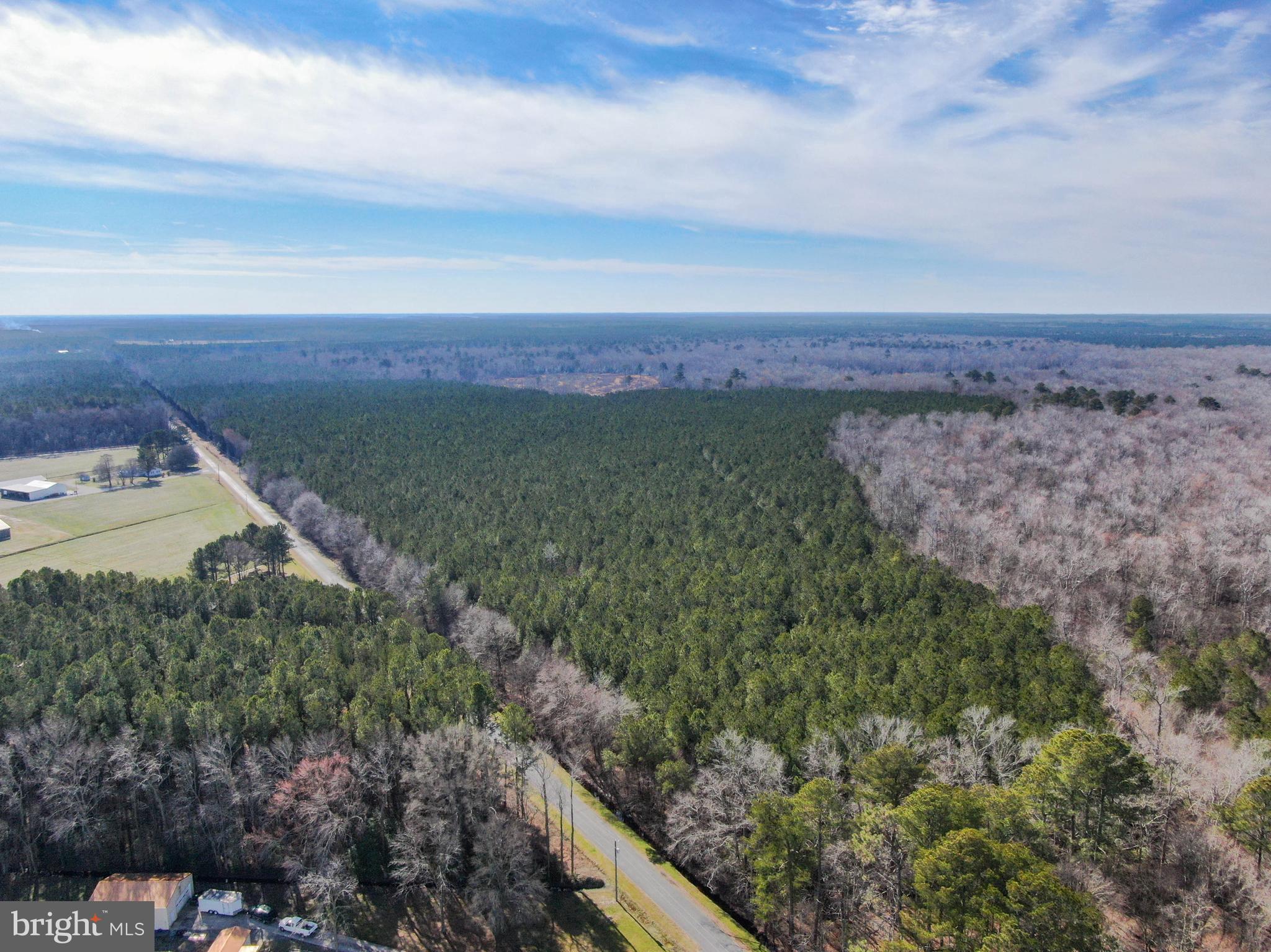 0 Follow Ditch Road Westover, MD 21871 - Photo 6 of 17 a view of a lake with a mountain in the back