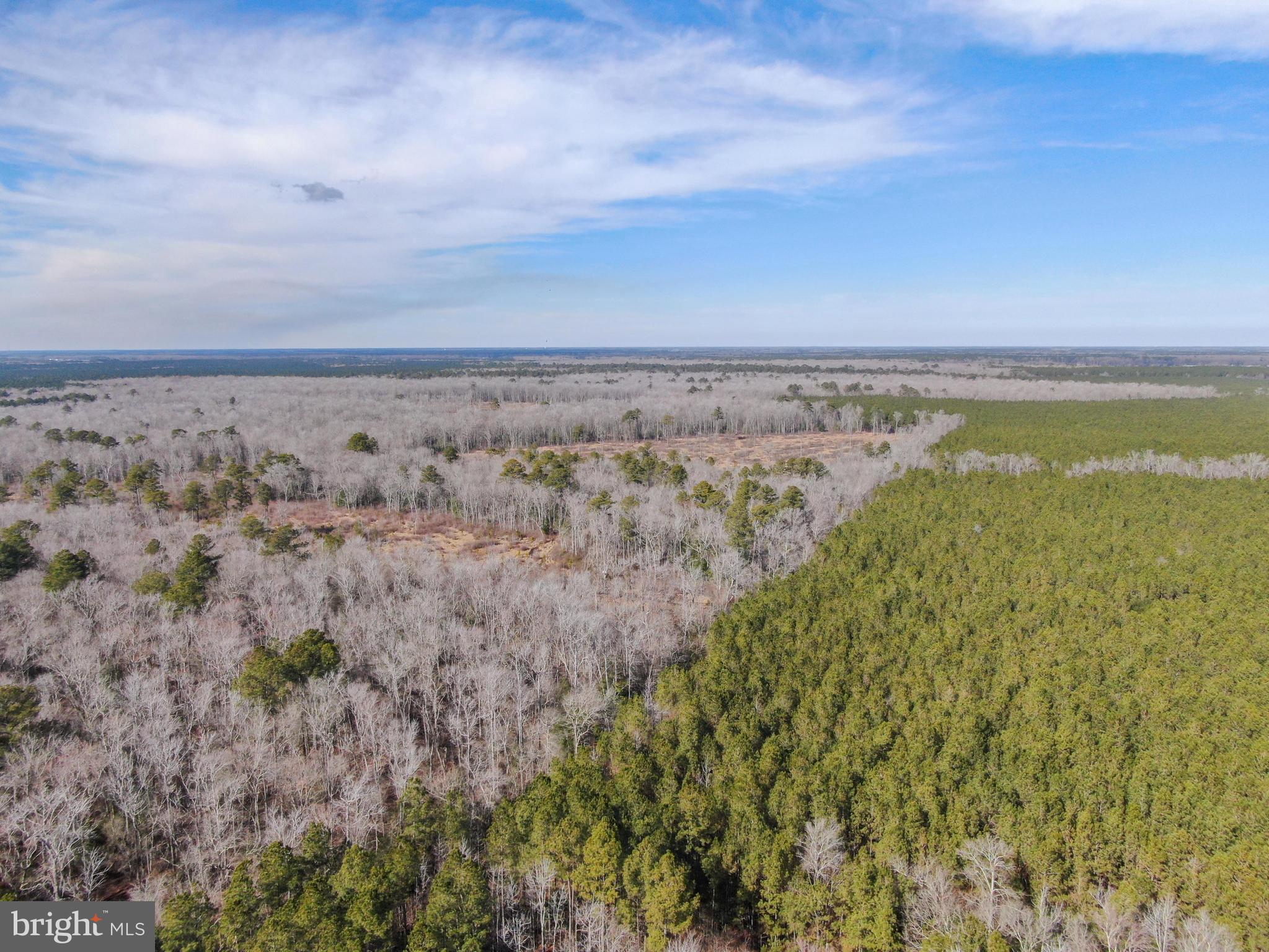 0 Follow Ditch Road Westover, MD 21871 - Photo 7 of 17