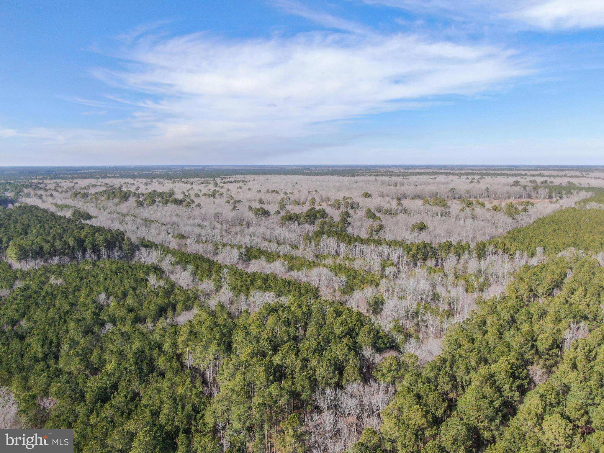 0 Follow Ditch Road Westover, MD 21871 - Photo 8 of 17 a view of a city