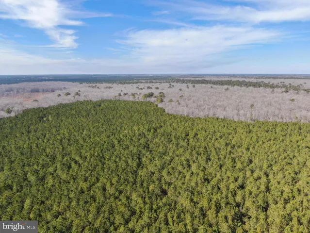 a view of a field with an ocean
