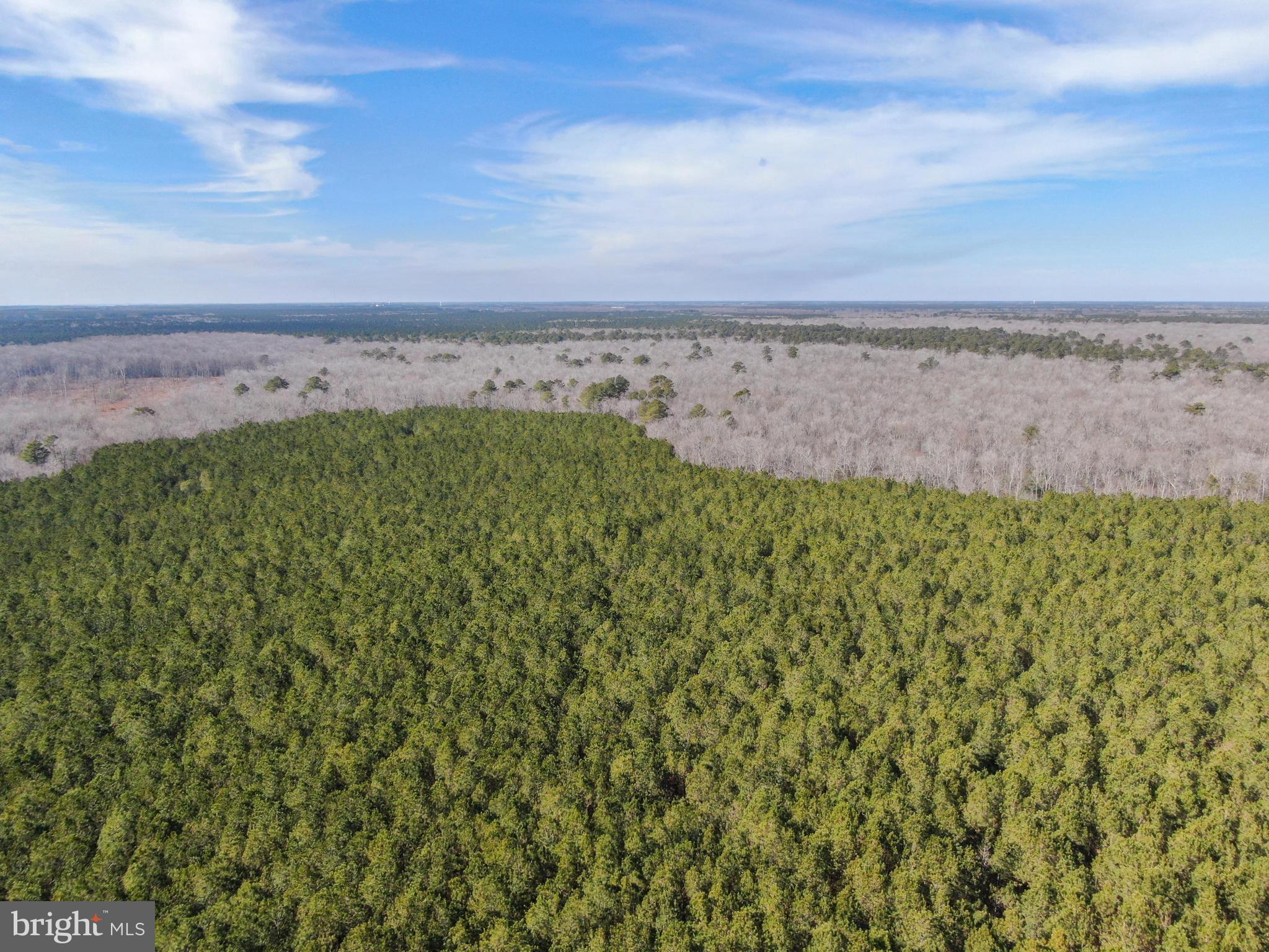 0 Follow Ditch Road Westover, MD 21871 - Photo 9 of 17 a view of a field with an ocean