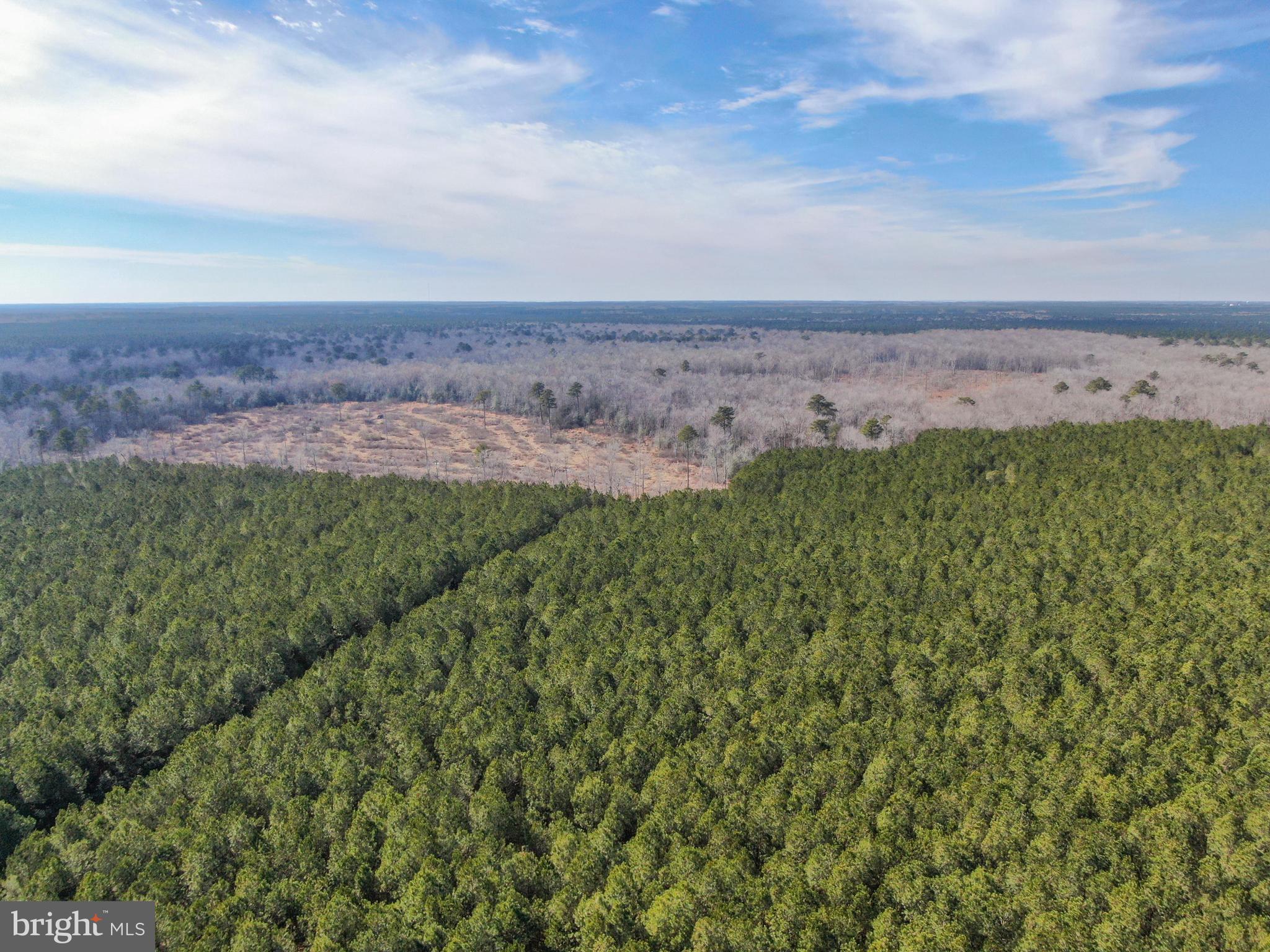 0 Follow Ditch Road Westover, MD 21871 - Photo 10 of 17 a view of a field with an ocean