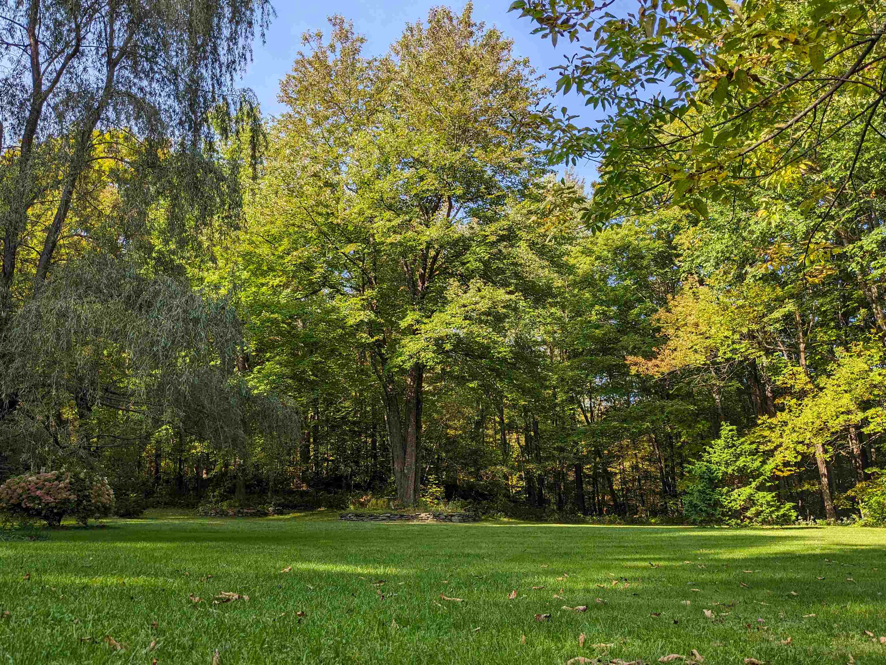 33 Repa Road Underhill, VT 05489 - Photo 27 of 42