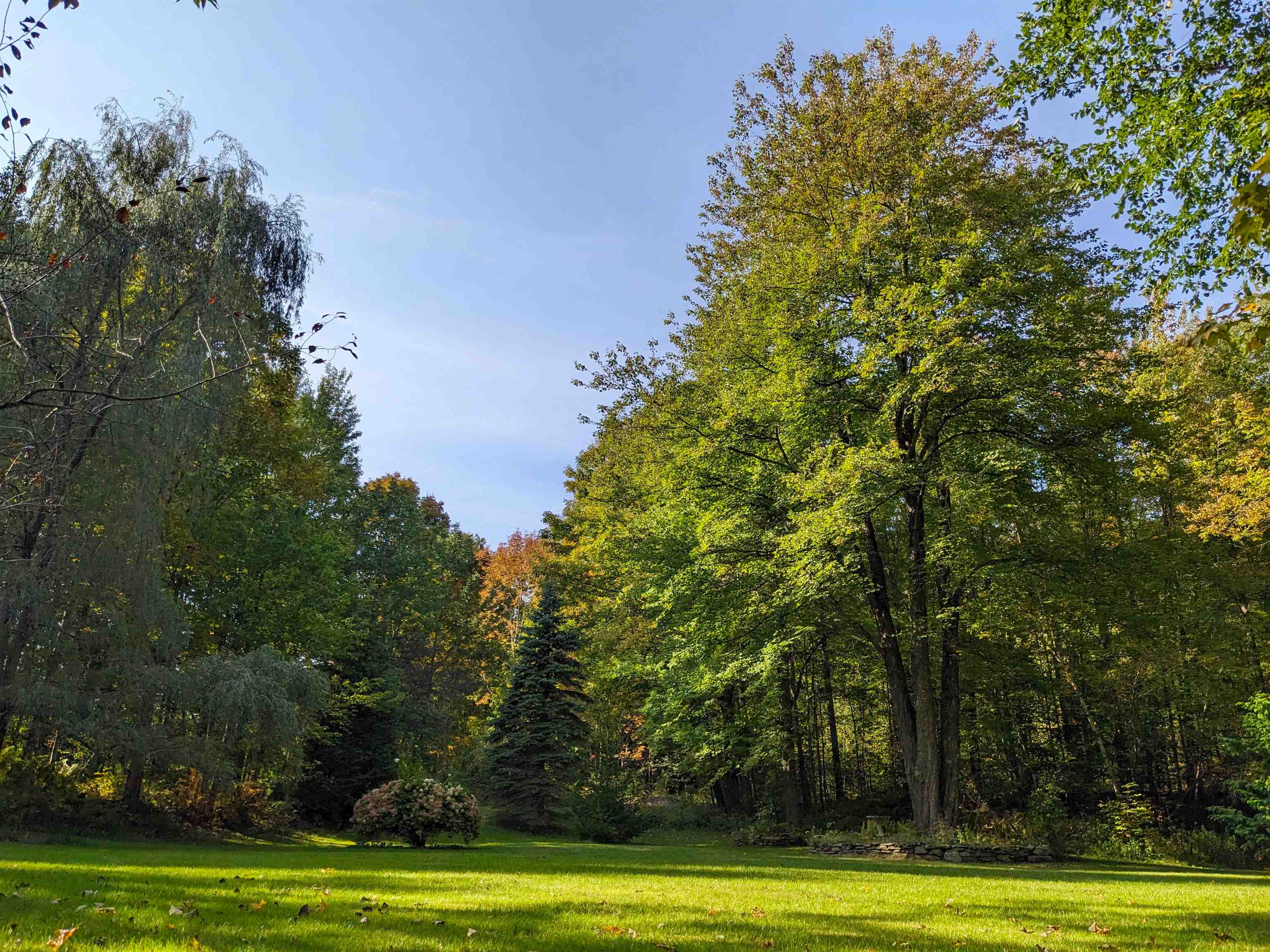 33 Repa Road Underhill, VT 05489 - Photo 29 of 42