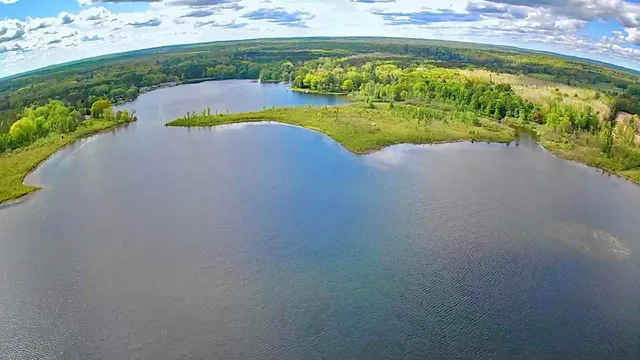 $105,000 | 9388 Lake Drive, Evart, MI 49631