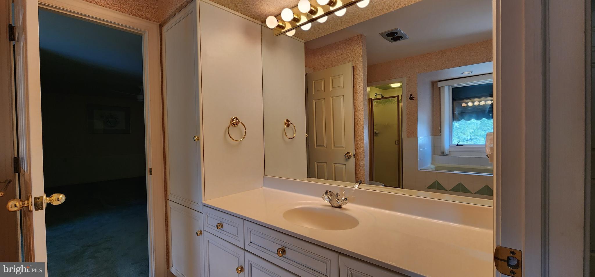 4069 West Tilden Road Harrisburg, PA 17110 - Photo 40 of 56 a bathroom with a sink and a mirror