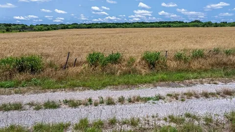 a view of a garden from a balcony
