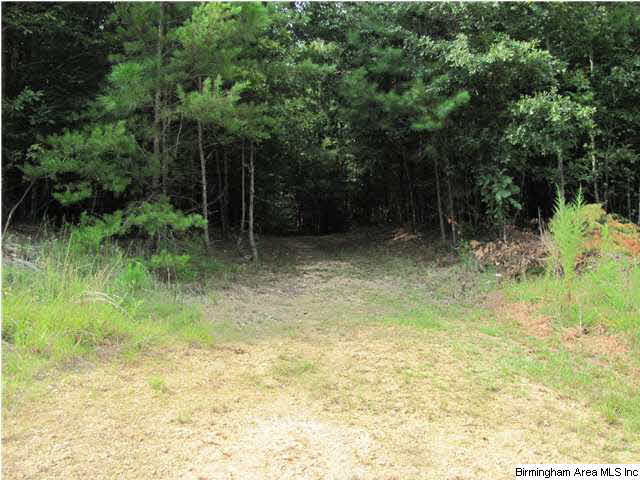 100 Cahaba Oaks Trail Pelham, AL 35124 - Photo 14 of 24