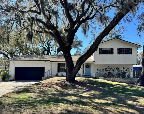 a large tree in front of a house