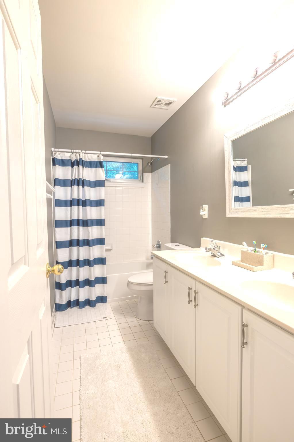 126 Addison Court Chester, MD 21619 - Photo 42 of 51 Hallway bathroom - dual sinks