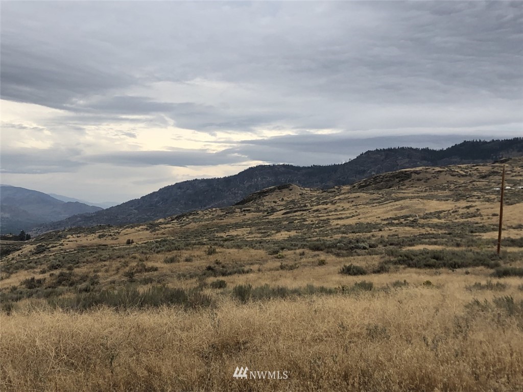 111 Round Up Road Oroville, WA 98844 - Photo 1 of 12 Gallery Image 1