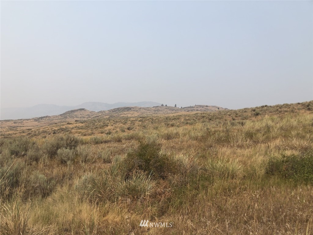 111 Round Up Road Oroville, WA 98844 - Photo 2 of 12 Gallery Image 2