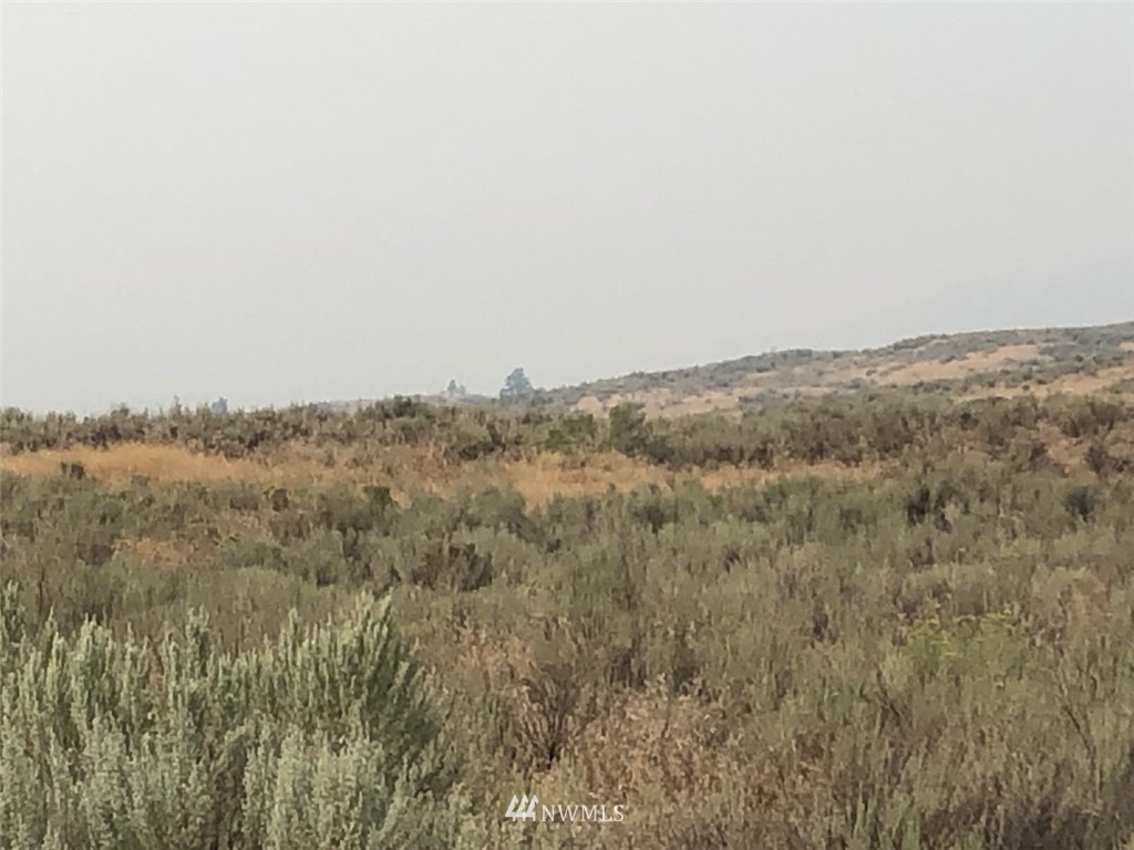 111 Round Up Road Oroville, WA 98844 - Photo 3 of 12 Gallery Image 3