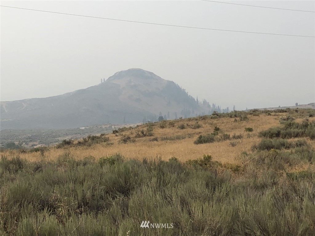 111 Round Up Road Oroville, WA 98844 - Photo 5 of 12 Gallery Image 5