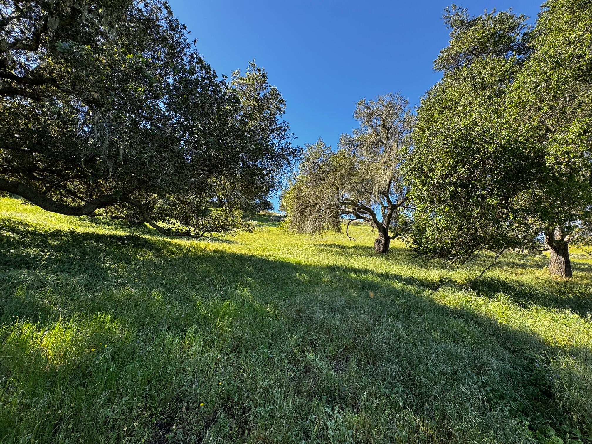 0 Alisos Canyon Road Los Alamos, CA 93440 - Photo 11 of 102 IMG_3686