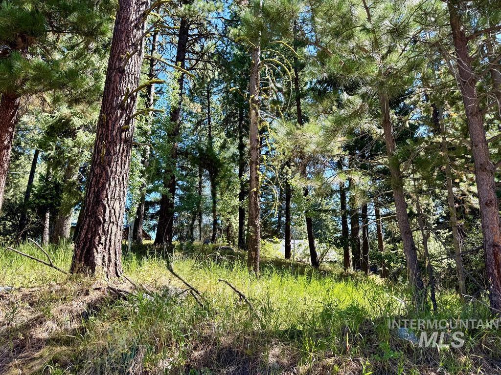 699 North Samson Trail McCall, ID 83638 - Photo 2 of 4
