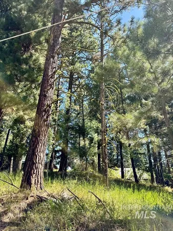 $207,000 | 699 North Samson Trail, McCall, ID 83638
