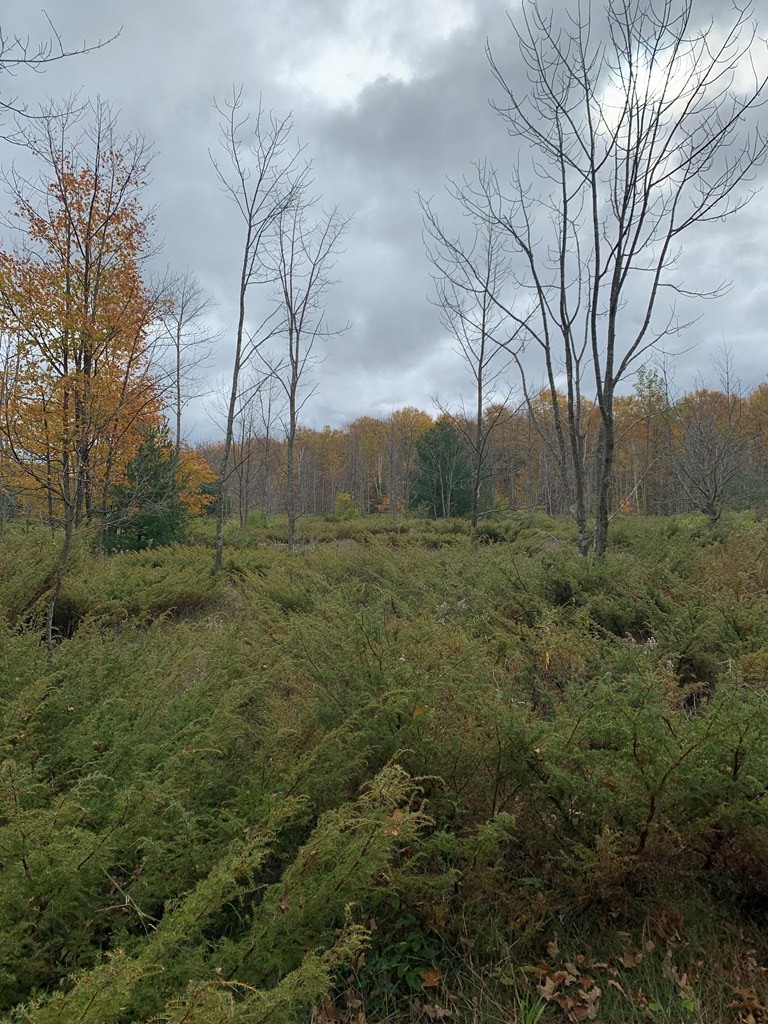Tbd Plum Bottom Road Egg Harbor, WI 54209 - Photo 3 of 4 Gallery Image 3