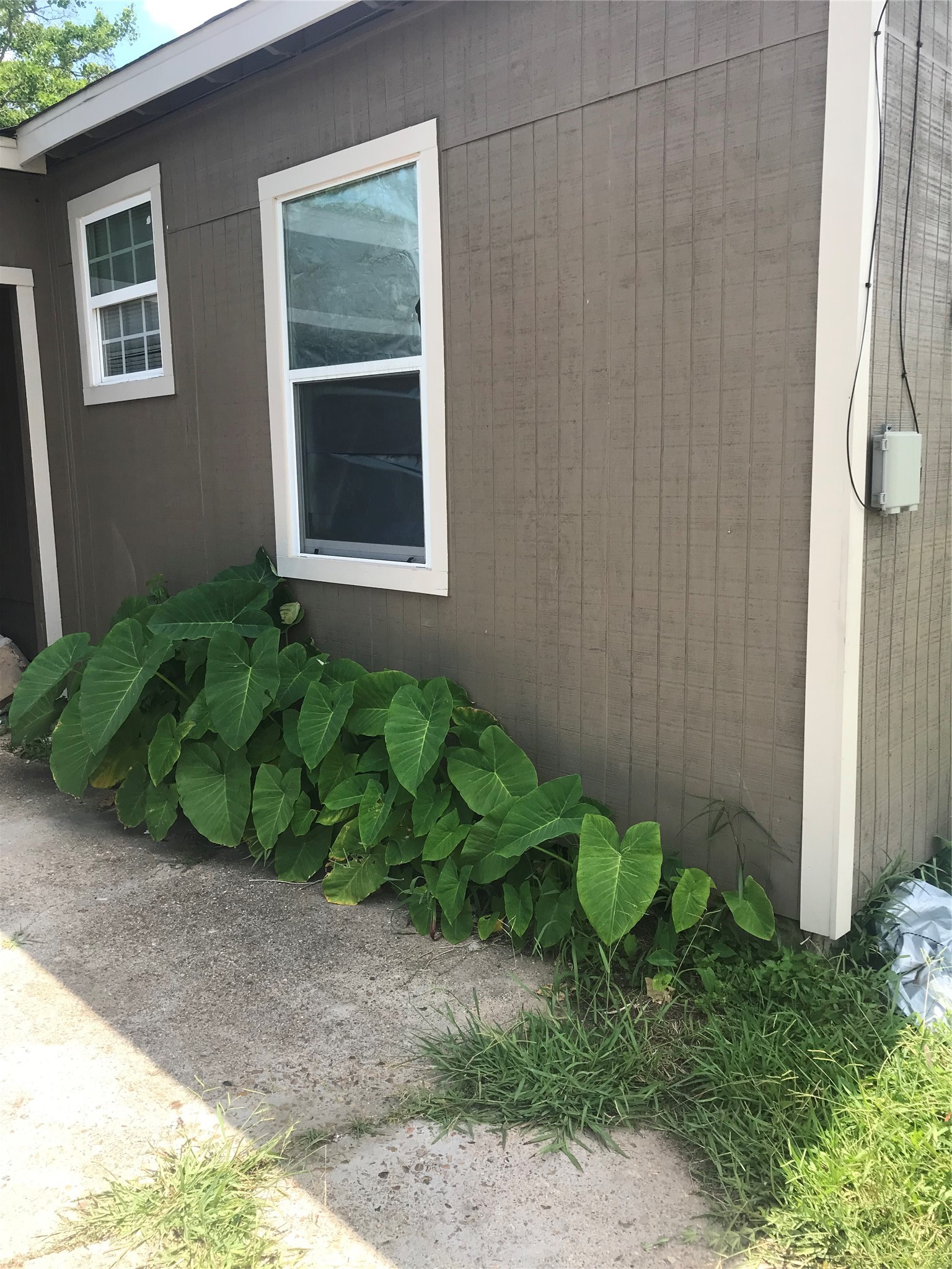 1713 West 5th Street Freeport, TX 77541 - Photo 2 of 11 a backyard of a house with lots of green space and glass windows