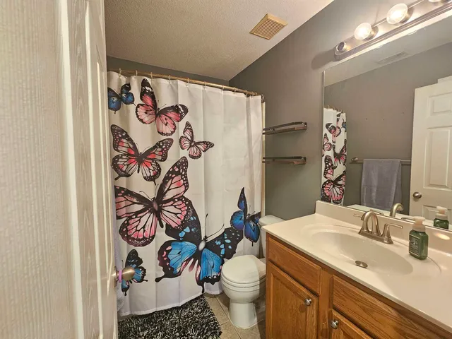 a bathroom with a sink toilet and shower curtain