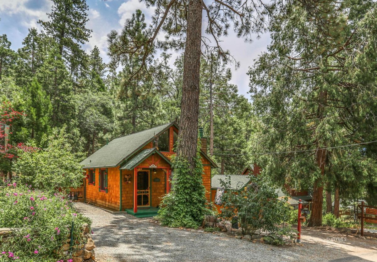 55255 Daryll Road Idyllwild, CA 92549 - Photo 1 of 41 a view of a house with a tree