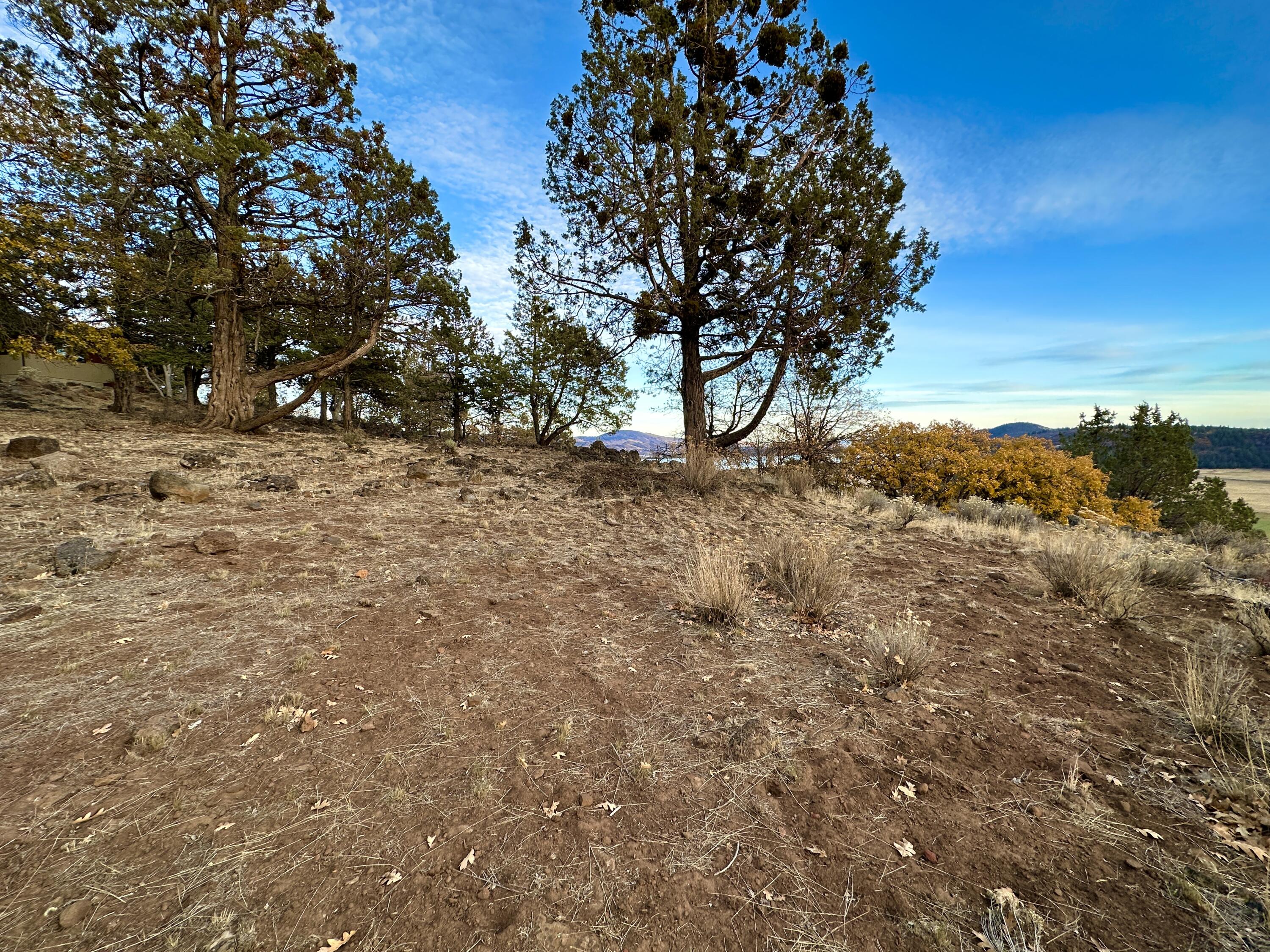 Coopers Hawk Road Klamath Falls, OR 97601 - Photo 10 of 19 IMG_6883