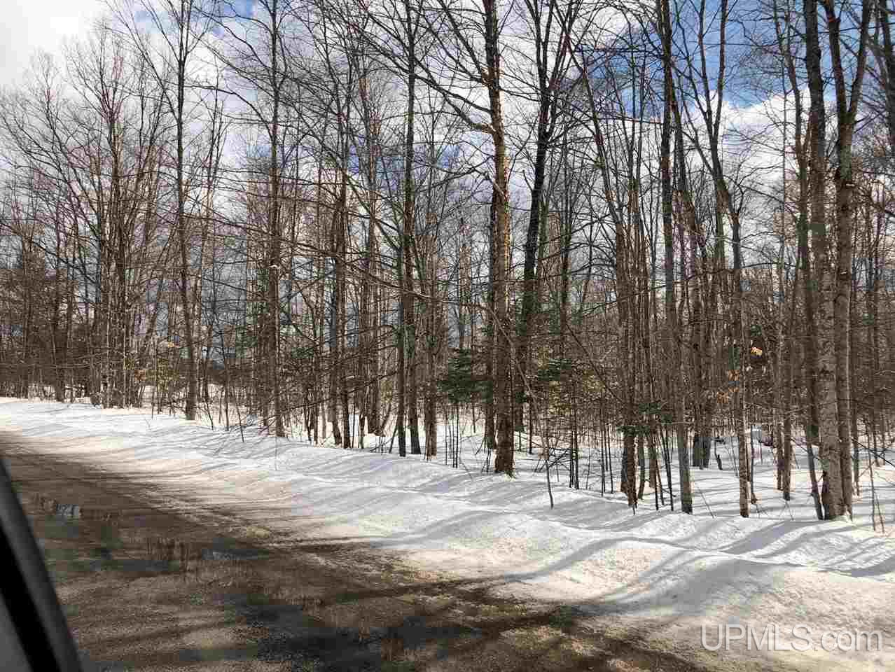 Tbd Quarry Road Gulliver, MI 49854 - Photo 3 of 4