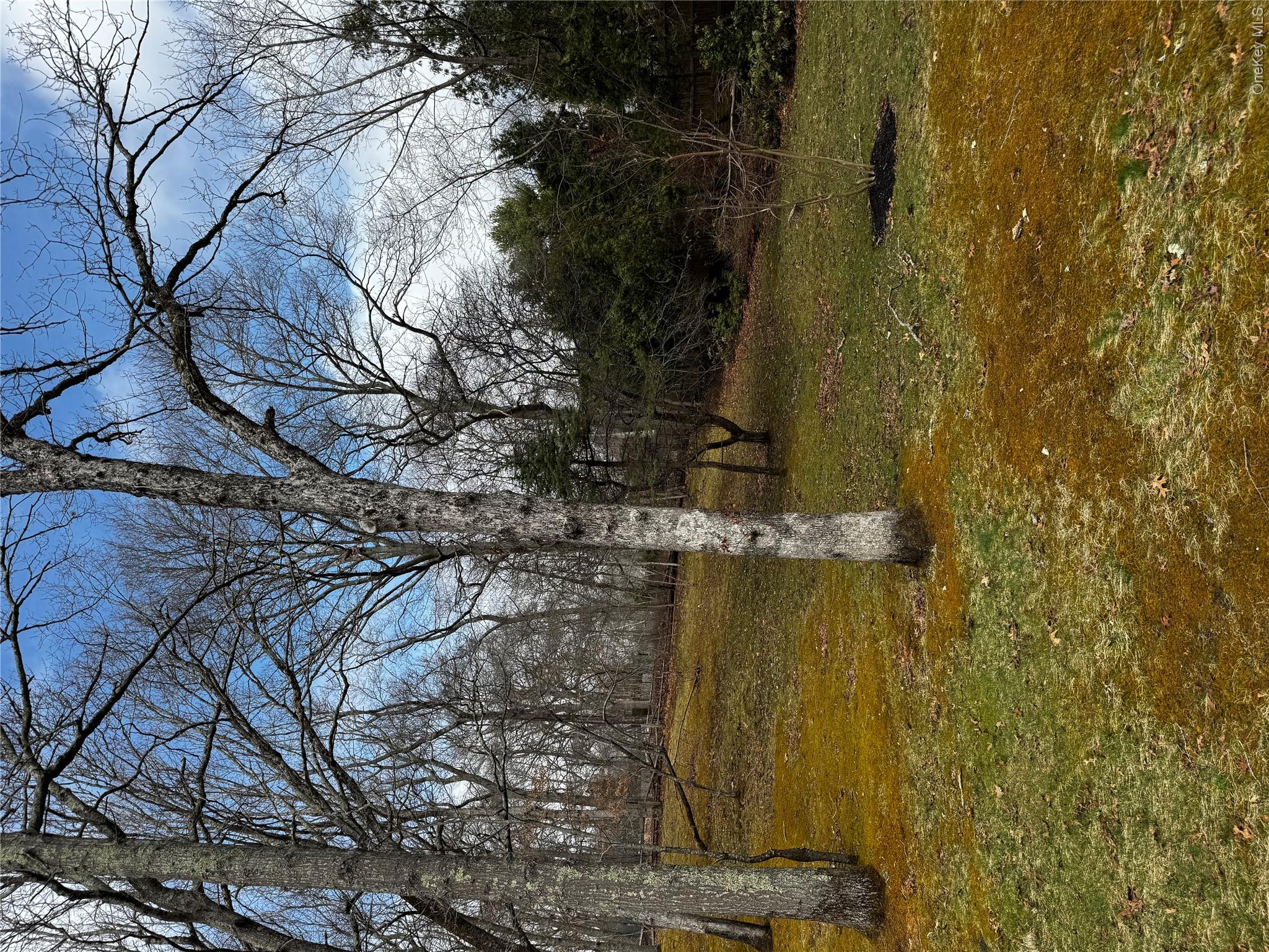 318 B Mill Road Manorville, NY 11949 - Photo 23 of 29