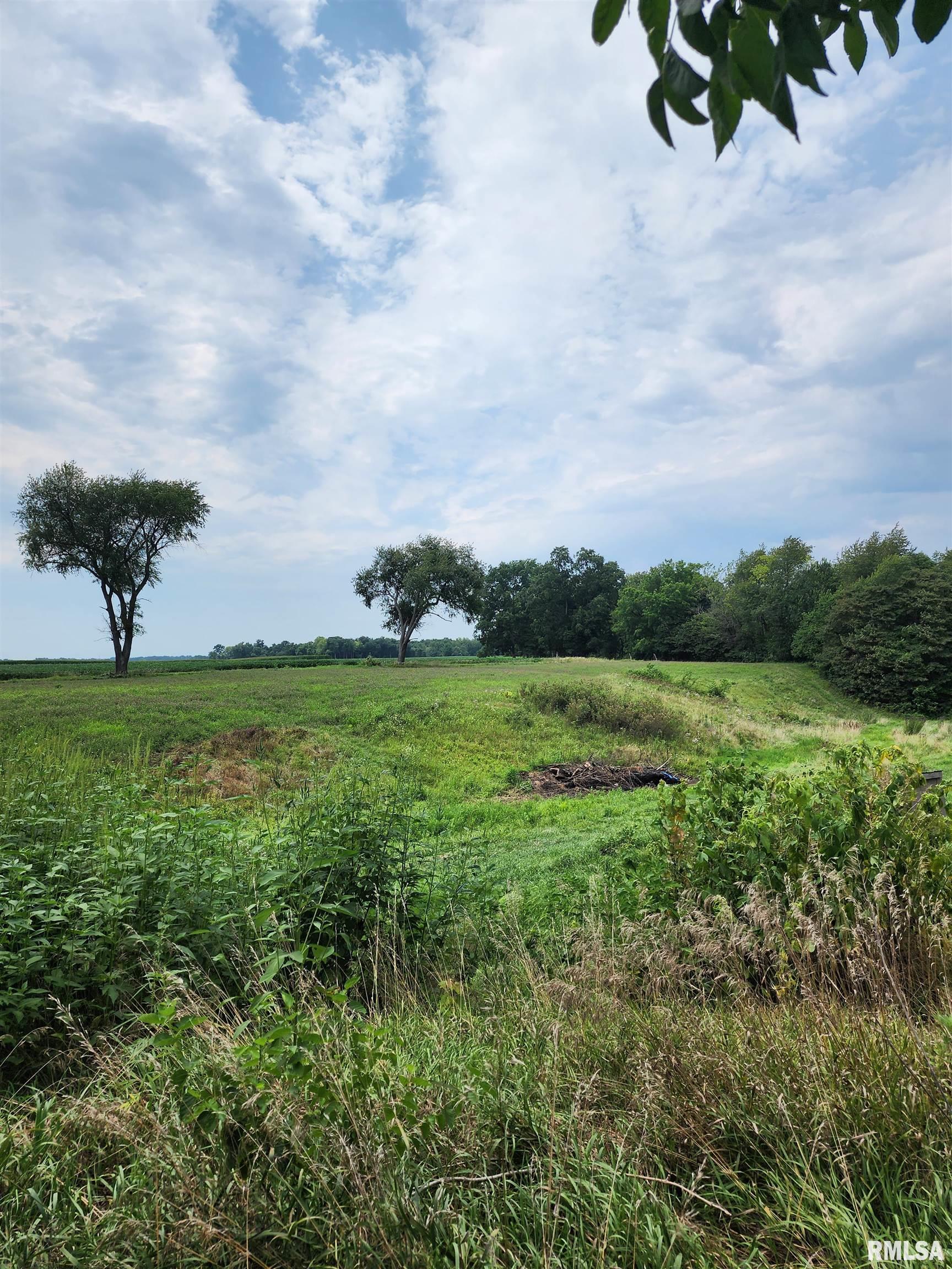16670 6 Corners Road Virginia, IL 62691 - Photo 36 of 51 Gallery Image 36