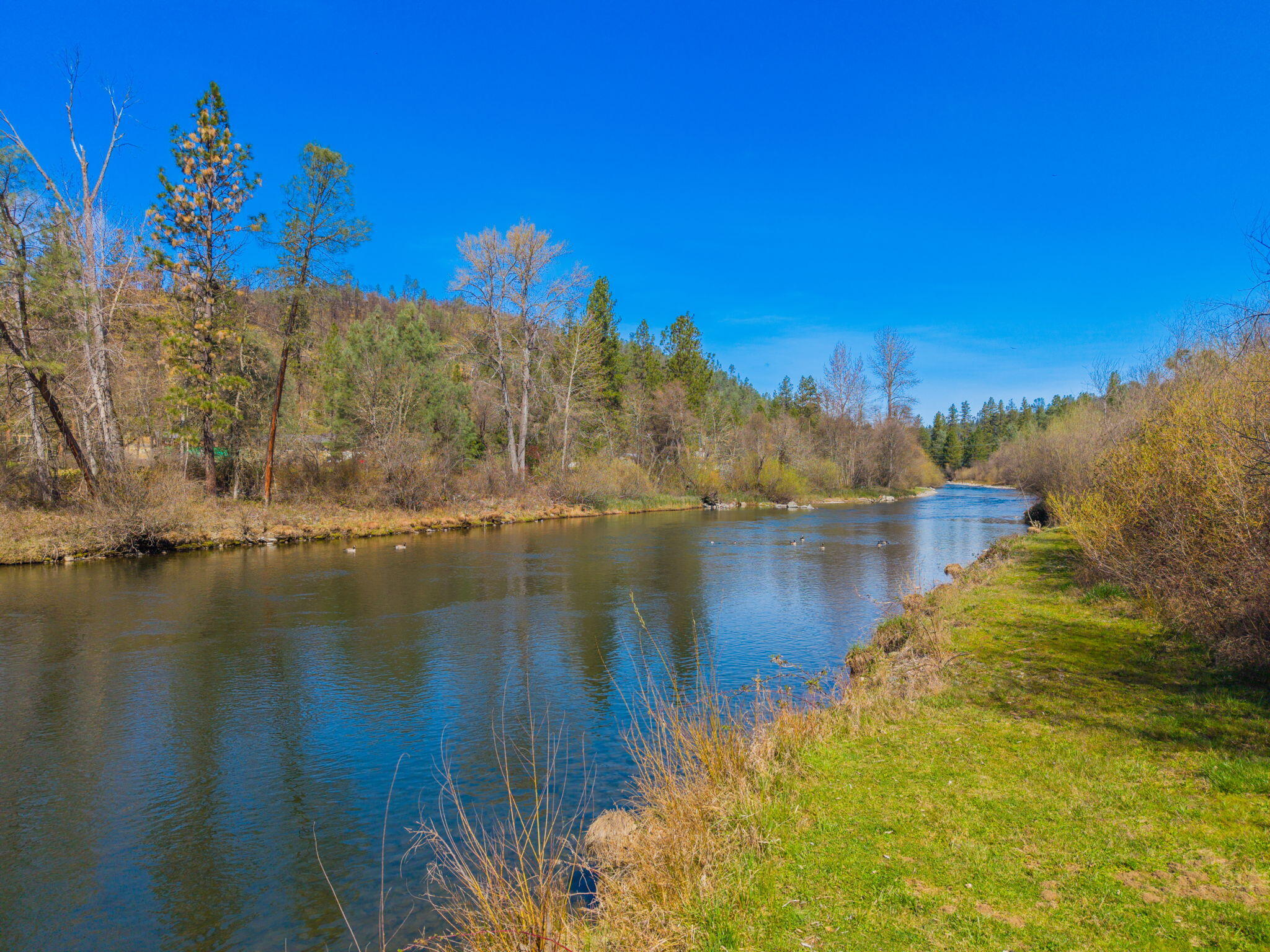 11 Deadwood Road Lewiston, CA 96052 - Photo 32 of 34 39-web-or-mls-IMG-39