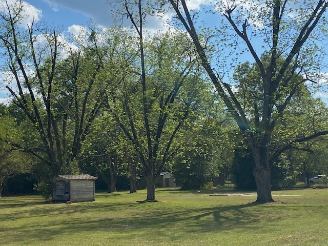 415 Jones Bridge Road North, SC 29112 - Photo 2 of 4 Photo 2